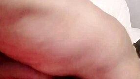 Sundaydogood614 - update 841 - vid 20250317 080207 - mar 17 2025