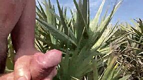 Clitlicker662 Update 40: Wild Public Flashing on Jun 30 2025