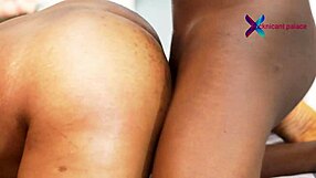 the anaconda cock fucks hot 9ja corporate runs girl