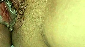 What secrets do the wife's stuffed animals hold?