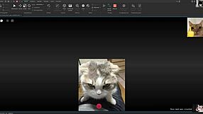 Silly Hilarious Activities Tutorial