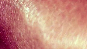 What secrets do the wife's stuffed animals hold?