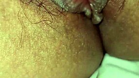 What secrets do the wife's stuffed animals hold?