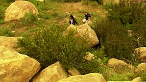 Black Milf Dee Gets Fucked Outdoors By Seth Dickens