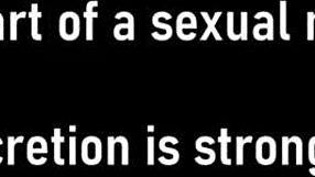 Maya Fierce Sucks Dick And Gets Pussy Blasted With Cum!!