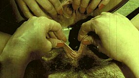 Vintage Pregnant Lesbians Dark Lantern Entertainment Presents My Secret Life The 19th Century Diaries Of An English Gentleman