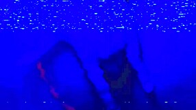 bleu room anal solo finger fuck