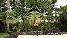 Shemale beauty craves hard gangbang