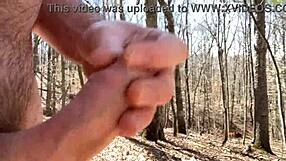 Clitlicker662 update 34 image 1341 from March 02 2025