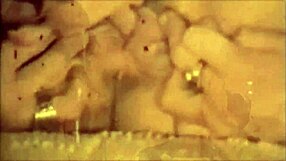 Dark Lantern predstavi vintage trojček iz erotičnih izpovedi viktorijanskega gospoda