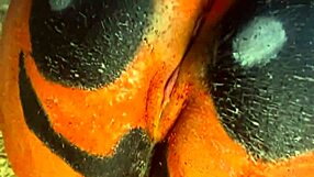 Remaja Kena Double Creampie Hebat di Kebun Labu