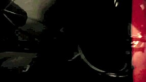 Vintage Pregnant Lesbians Dark Lantern Entertainment Presents My Secret Life The 19th Century Diaries Of An English Gentleman