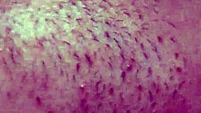 She Comes Home Late, So I Punish Her Hard!