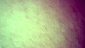 minha putinha, want to watch me masturbate for you?