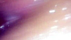 hit it from the back with anal play