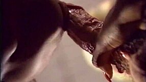 Legend pornstar domonique simone takes on randy west steve drake ron jeremy and derek lane in poker game!