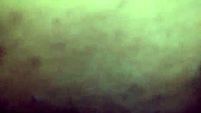 MILF Redbone Biarin Gue Hisap Memeknya