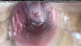 subtle solo masturbation session