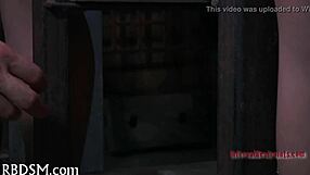 Sadomasochism electro punishment session