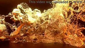 Teen Emily White Daps in Interracial Anal Quickie with Big Gape!