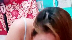 Di Blowjob Istri Sampai Crot Di Mulut