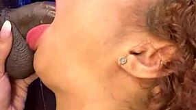 rich da piper thrusts his cock deep into my throat during intense blowjob