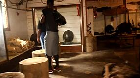 Wife's Adultery With Colleague In Africa