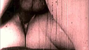 Vintage erotic drawings of hairy women