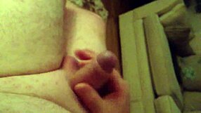 Amazing Small Cock Display