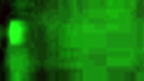 wife destroying husband's ass with strap on