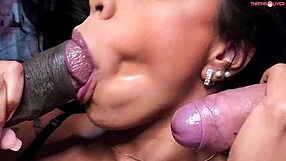 convidei 2 vizinhos roludos e casados pra me foder em casa com crossdressing transsexual fun