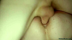 Hey, you ready for shemale dommes to pound guys in rough anal with blowjob sucking?