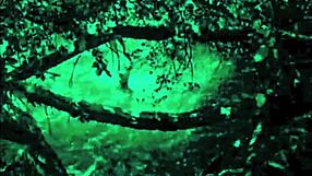 dark lantern entertainment presents the dragonfly freddie retro film