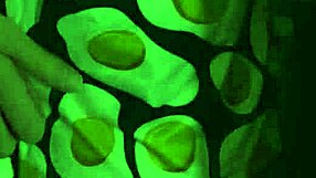 Jealous Step Daughter Watches Stepdad Fuck New Wife