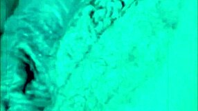 dark lantern entertainment presents the dragonfly freddie retro film