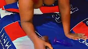 sundaydogood614 shares update 543 video from october 16 2024