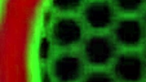 Milf sara jay gets oily she plays with her big tits booty