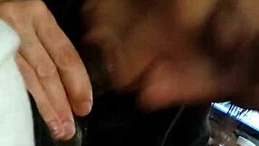 suck that caribbean cock hard