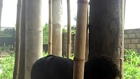 Crazybitch Best Weekend With Family Part One