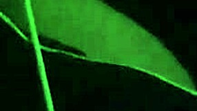 in this family relationship part 49 the asian babe rides her boyfriend's big cock