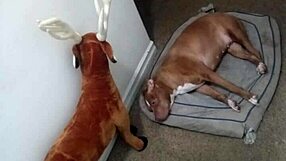 More Ways To Show Off Zodiac Patience