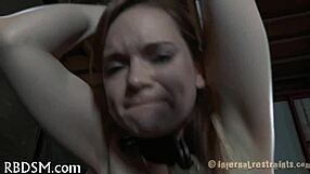 Sadomasochism Master Dominates