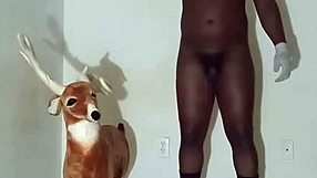 More Ways To Show Off Zodiac Patience