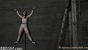 Sadomasochism Master Dominates