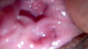 Pornstar Gets Pussy Fucked and Creampied Hard