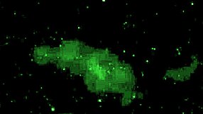 i explore the house of whispers where my fantasies come alive