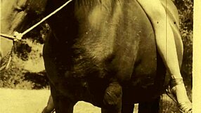 Overwhelmed By Erotic Confessions From My Secret Life As Victorian Gentleman