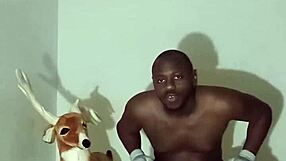 More Ways To Show Off Zodiac Patience