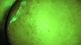 Pozno ponoči čutni seks s pastorkom, ki se konča s creampiejem