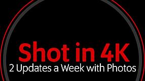 sexy teen sloan sucks my big dick for cum